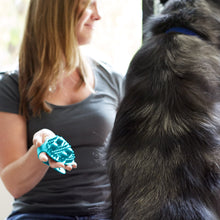Load image into Gallery viewer, PetWell Massaging Groomer